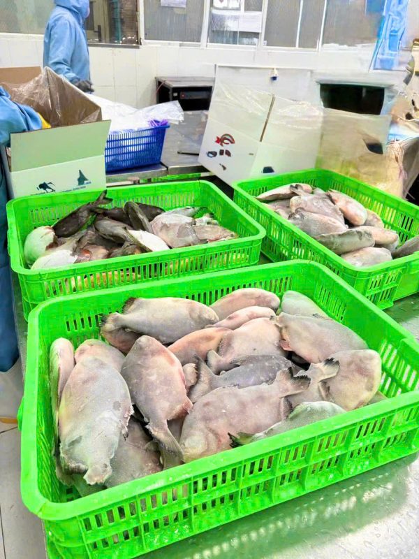 HAI THANH FOODSTUFF COMPANY LIMITED