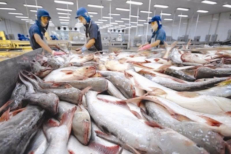 HAI THANH FOODSTUFF COMPANY LIMITED