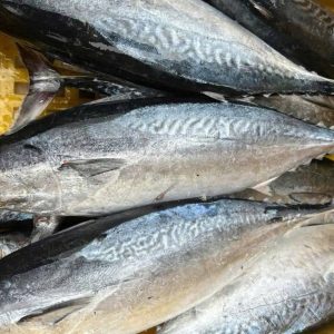 Yellowfin Tuna